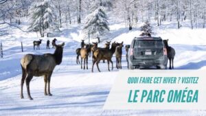Parc Oméga