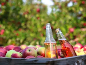 Quebec Cider Producers