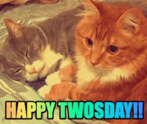 Tuesday