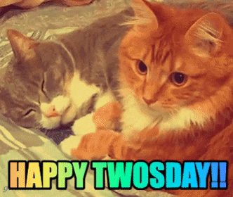 Tuesday - Canadian Ad Insider Tuesday