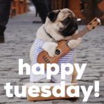 Tuesday