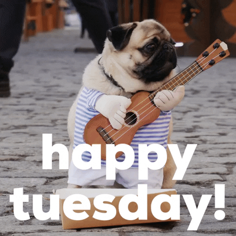 Tuesday