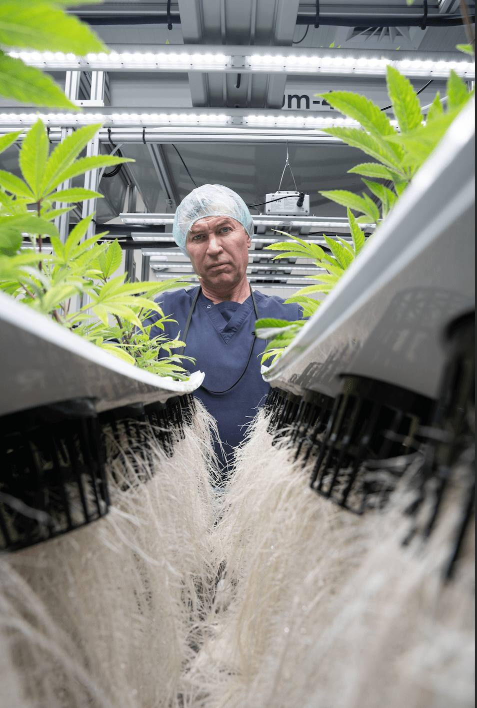 Why J.R. Strain is Breaking Boundaries in Cannabis Marketing