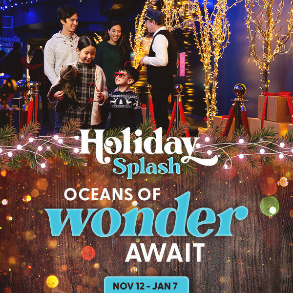 Vancouver Aquarium Brings 'Oceans Of Wonder' In New Holiday Campaign
