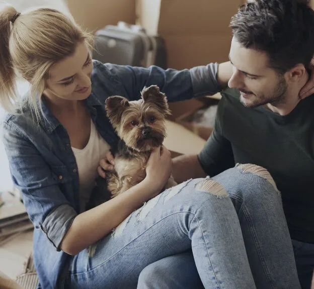 RE/MAX Canada And Pet Valu Get You Prepared For Moving Day With Your Furry Friends