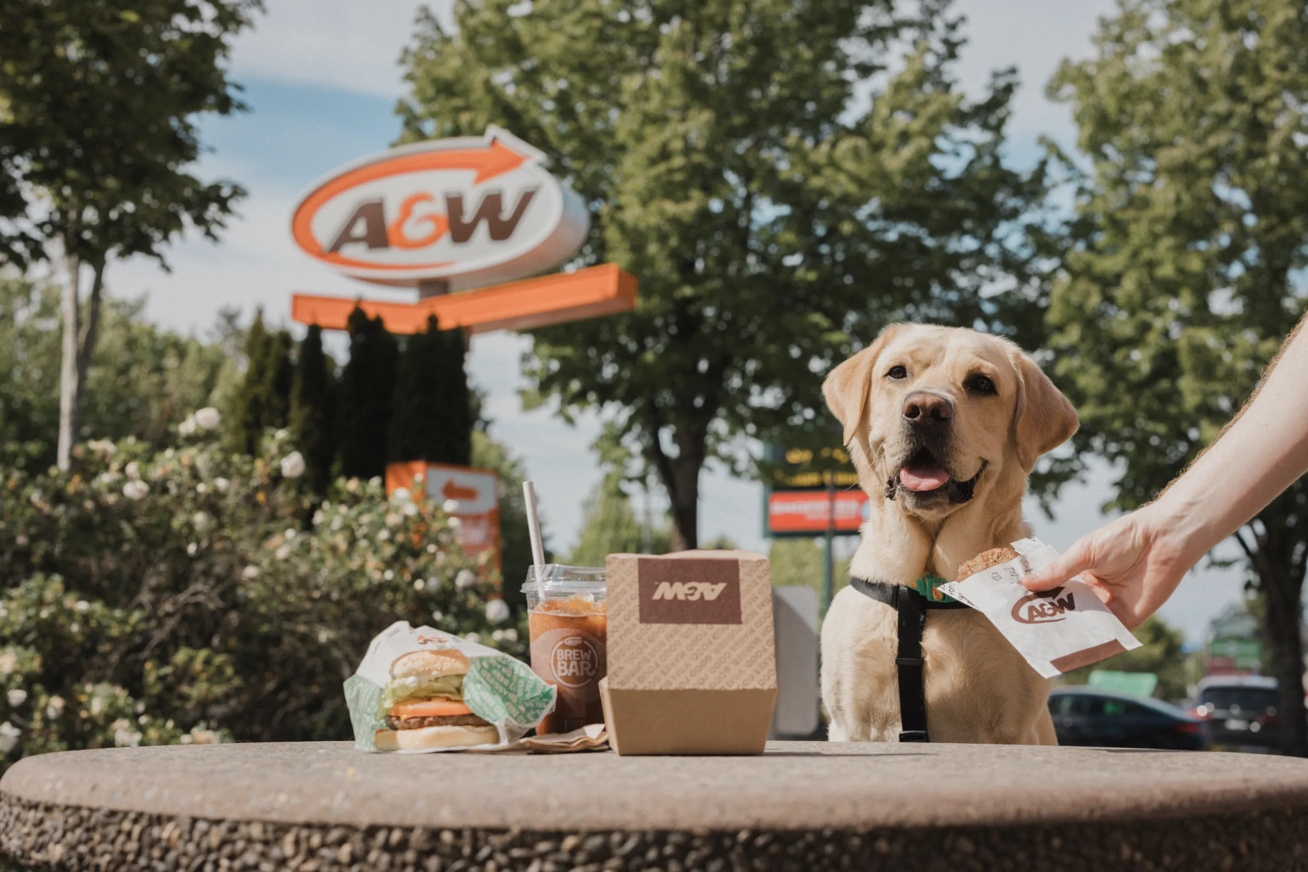 A&W's New Pup Patty: The Dog Treat You Didn't Know You Needed