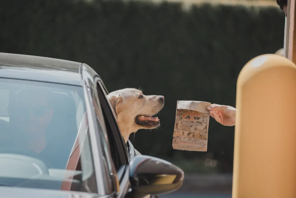 A&W's New Pup Patty: The Dog Treat You Didn't Know You Needed