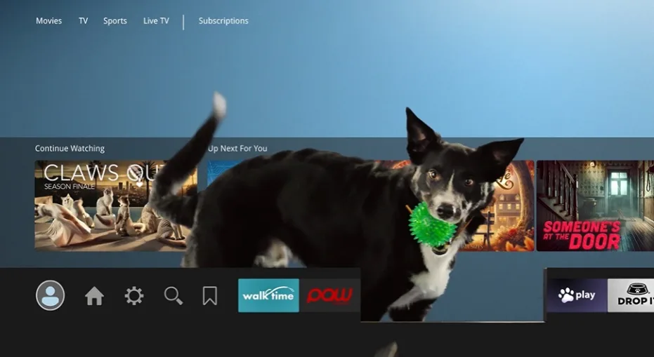 Unleash The Fun: Pet Valu's 'Playtime' Campaign Redefines Pet Bonding!