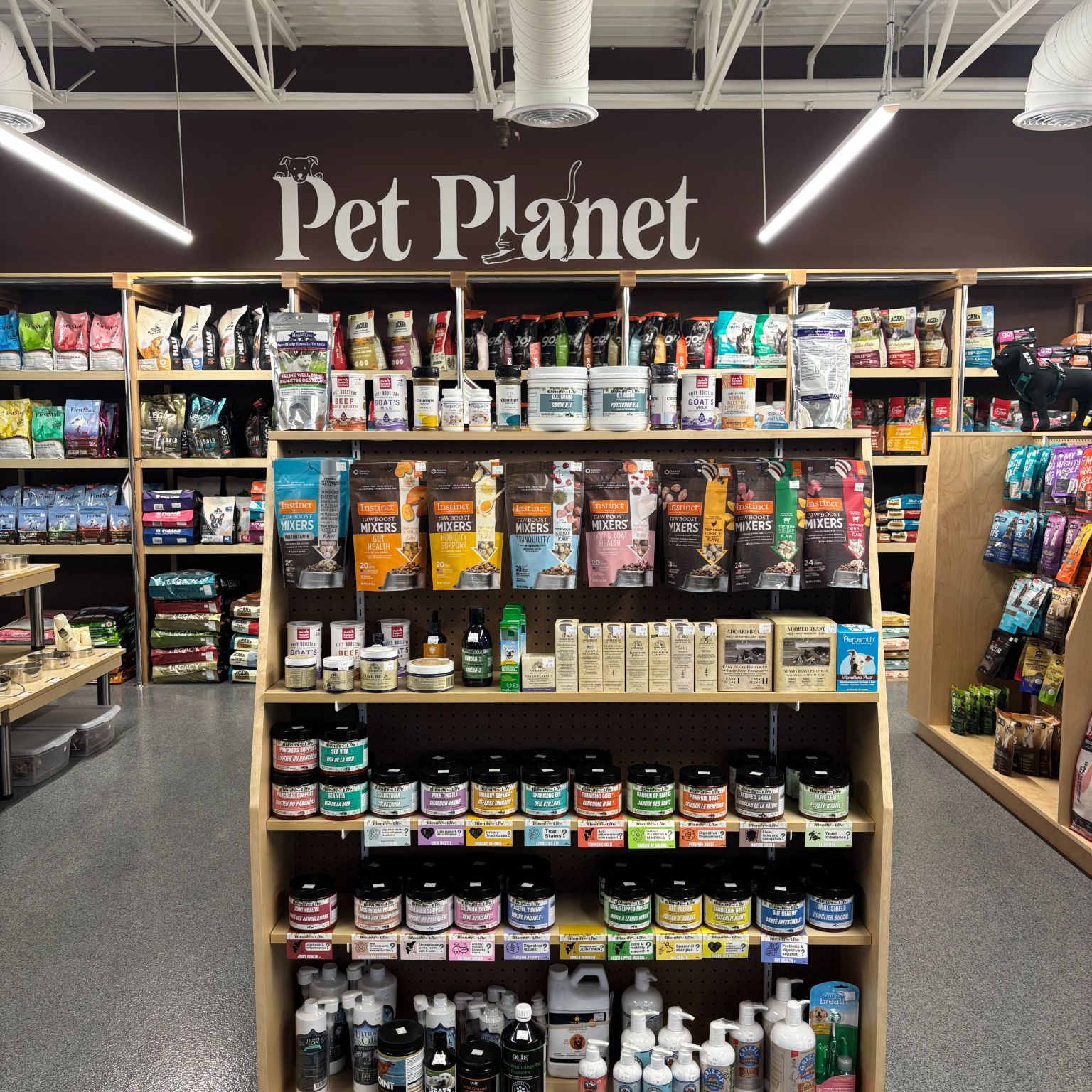 Pet Planet