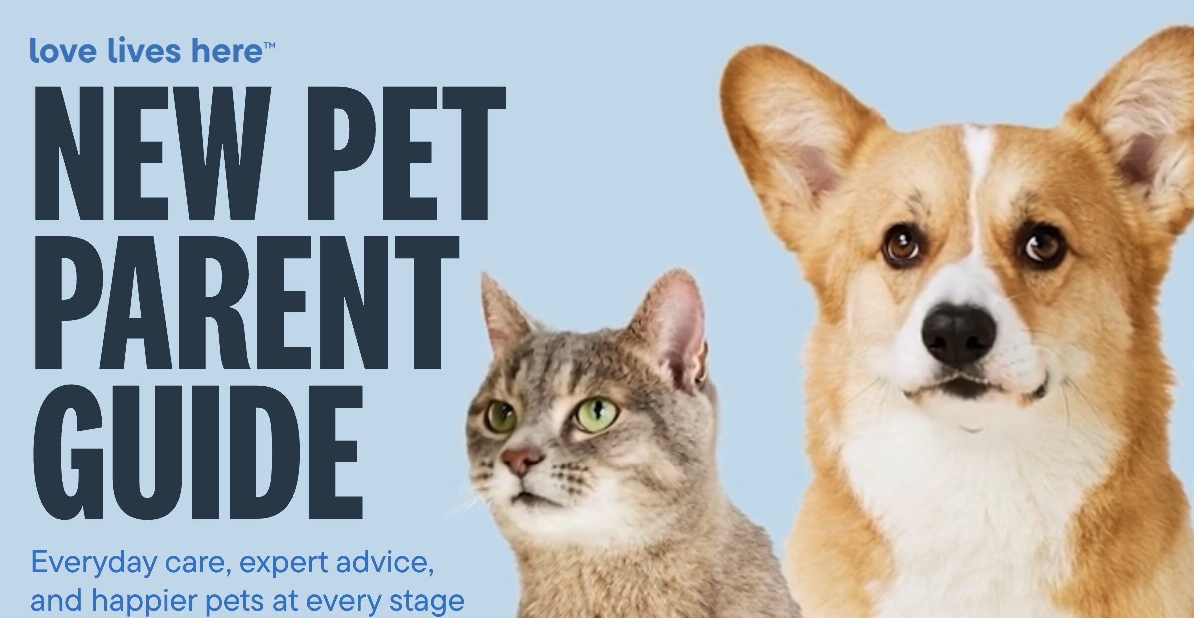 Banner announcing the 'New Pet Parent Guide' with a cat and dog on a blue background.