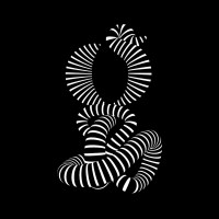 Abstract black background with a white striped snake formed from curved rings, coiled in a spiral, like a sculpture.